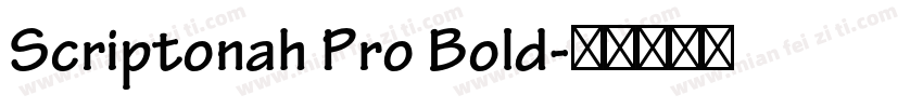 Scriptonah Pro Bold字体转换